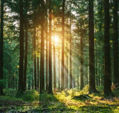 Image for choice number 2